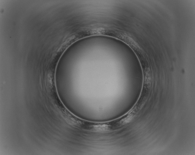 X0000073710363200608171144