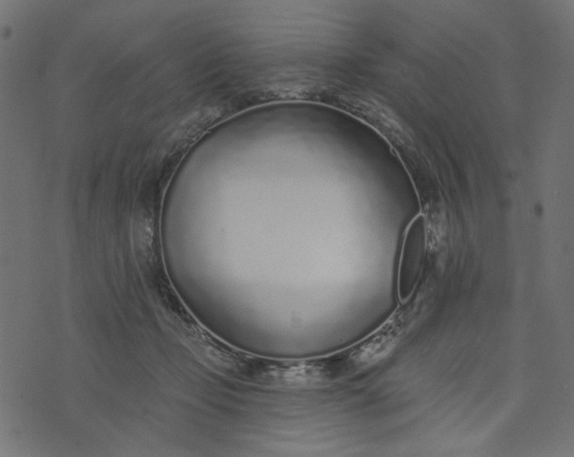 X0000073710365200608171144