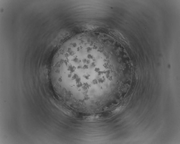 X0000073710366200608171144