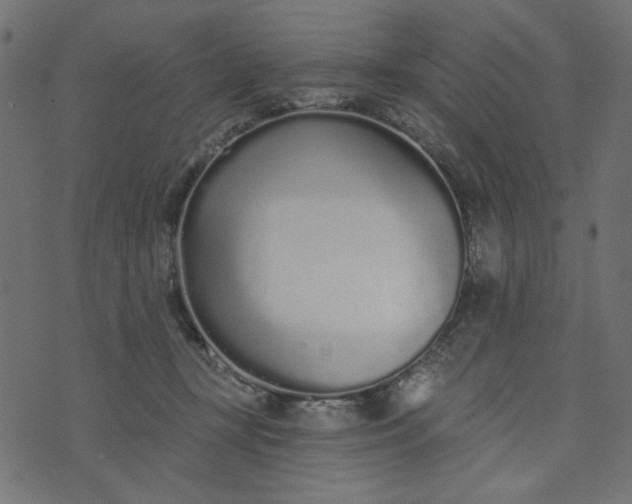 X0000073710367200608171144