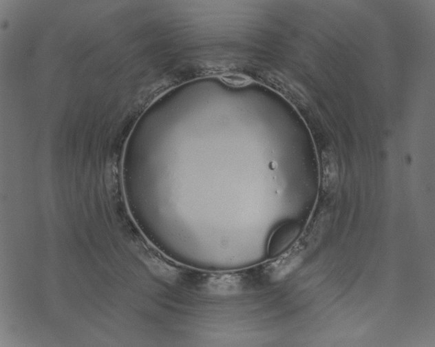 X0000073710369200608171144