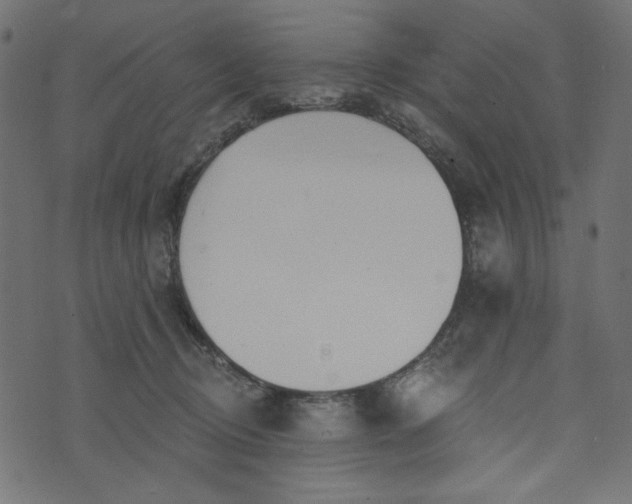 X0000073710370200608171144