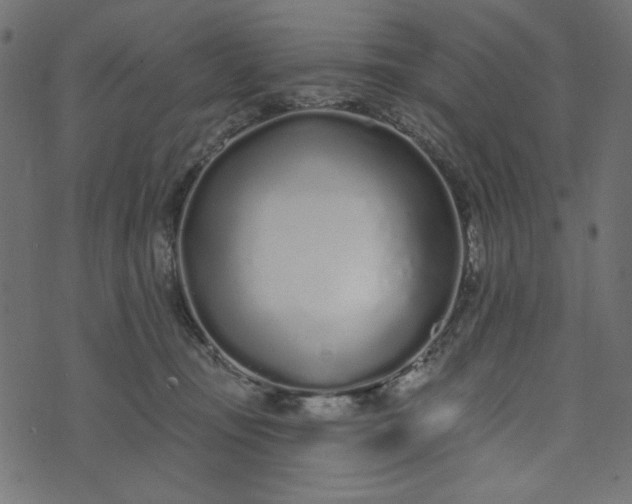 X0000073710371200608171144