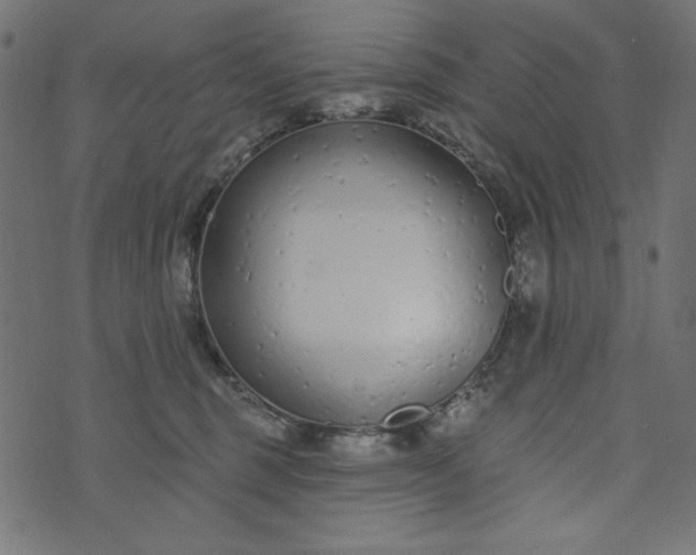 X0000073710375200608171144