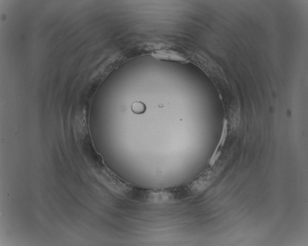 X0000073710376200608171144