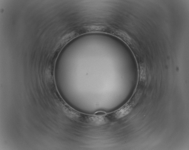 X0000073710377200608171144