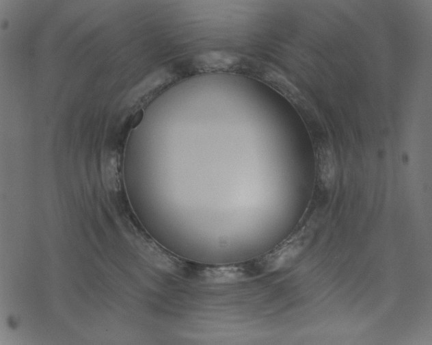 X0000073710378200608171144