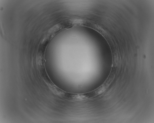 X0000073710379200608171144