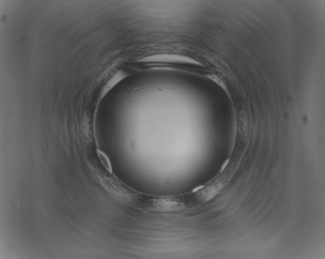 X0000073710380200608171144