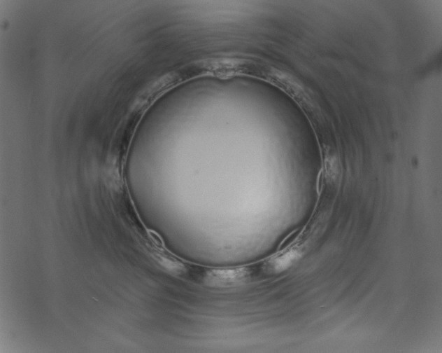 X0000073710381200608171144