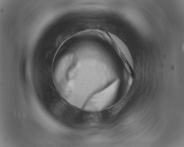 X0000073710383200608171144