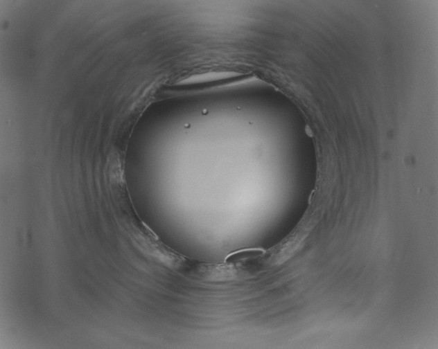 X0000073710384200608171144