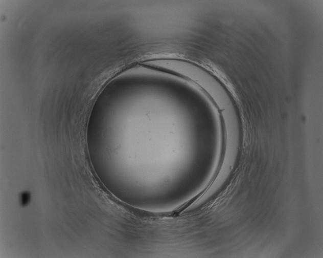 X0000073710385200608171143