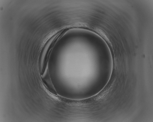 X0000073710389200608171143