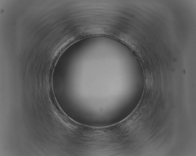 X0000073710390200608171143