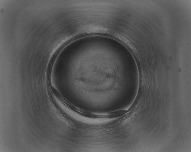 X0000073710391200608171143