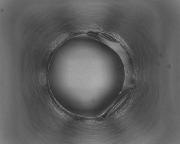 X0000073710393200608171143