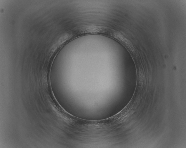 X0000073710394200608171143