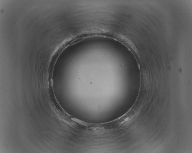 X0000073710395200608171143