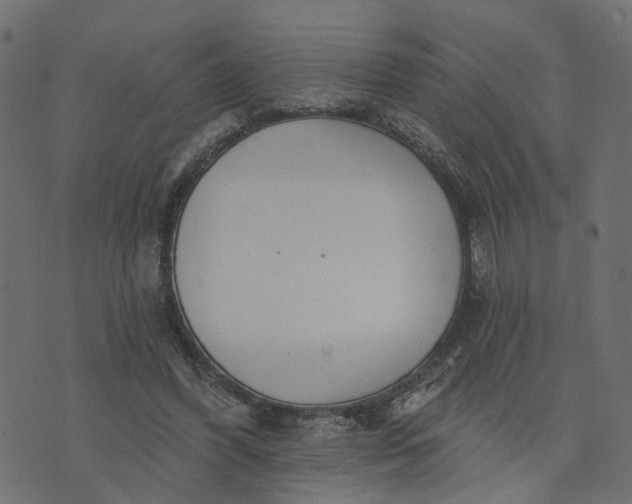 X0000073710396200608171143