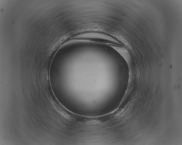 X0000073710397200608171143