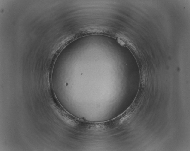 X0000073710398200608171143