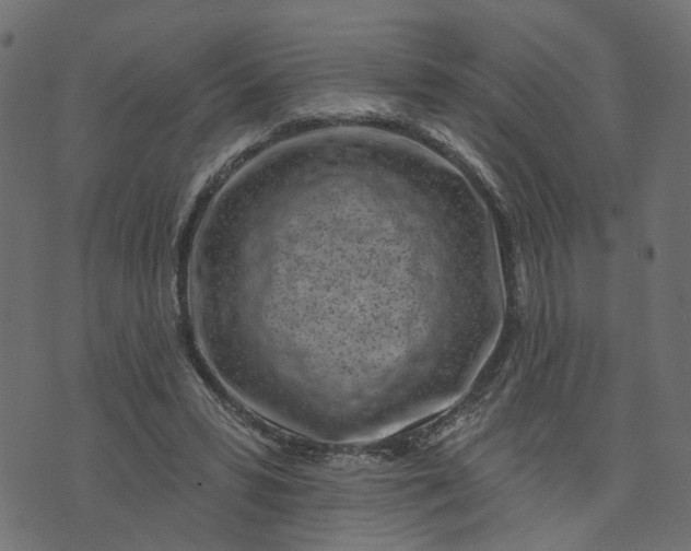 X0000073710399200608171143