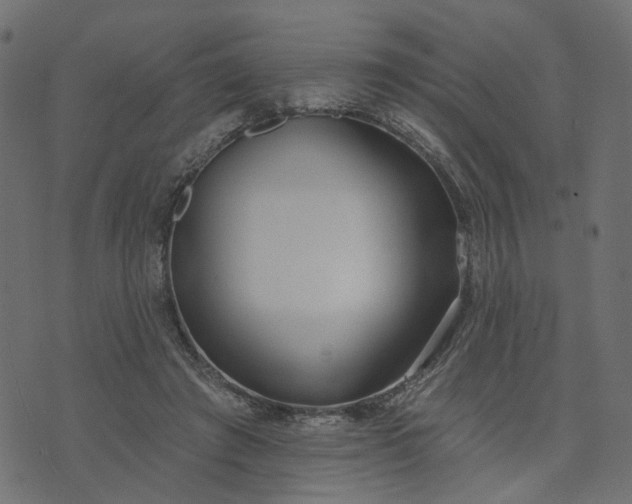 X0000073710401200608171143