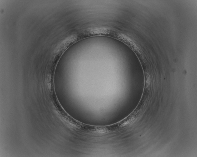 X0000073710402200608171143