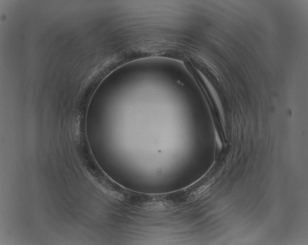 X0000073710404200608171143