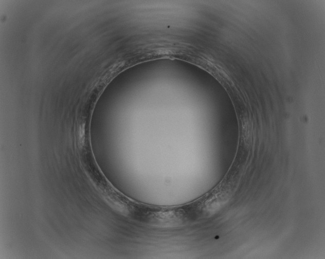 X0000073710406200608171143