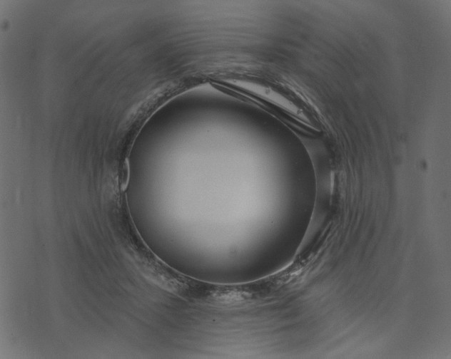 X0000073710407200608171143