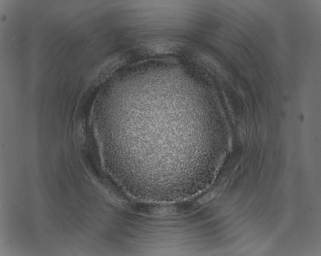 X0000073710410200608171143