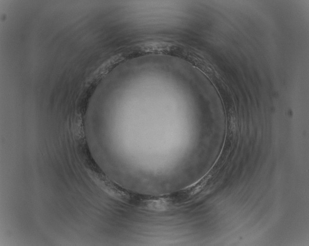 X0000073710411200608171143