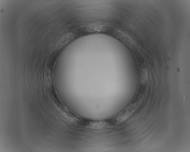 X0000073710414200608171143