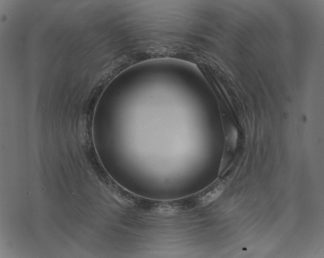 X0000073710416200608171143