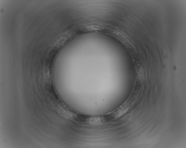 X0000073710418200608171143