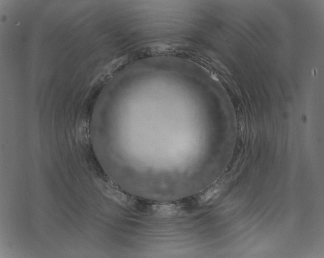 X0000073710419200608171143