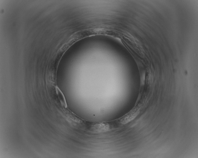 X0000073710421200608171143