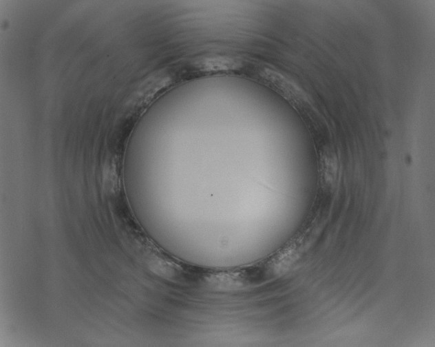 X0000073710422200608171143