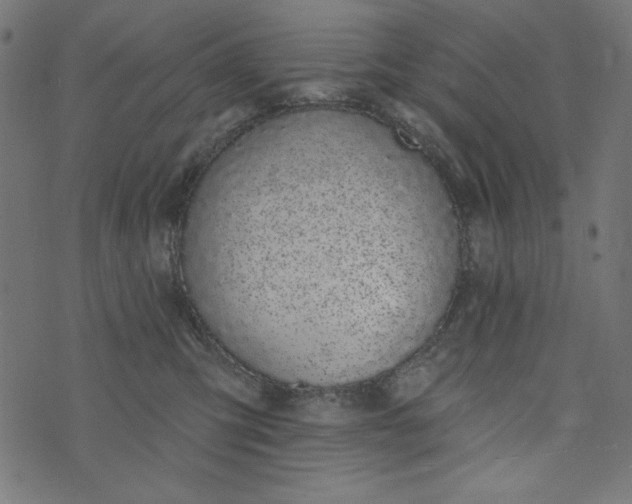 X0000073710423200608171143