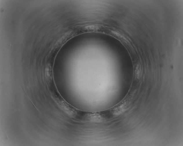 X0000073710424200608171143