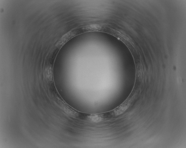 X0000073710425200608171143