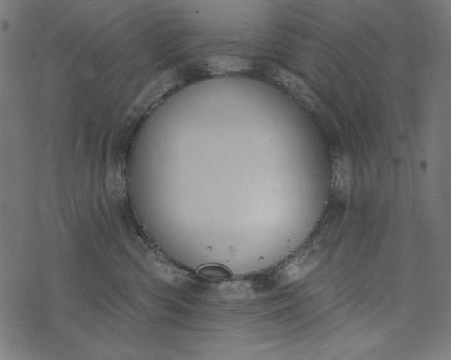 X0000073710426200608171143