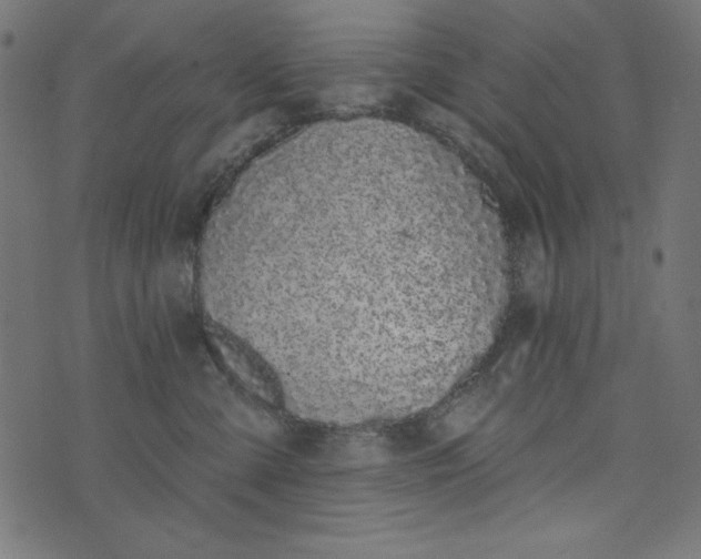 X0000073710427200608171143