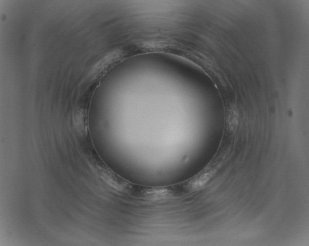 X0000073710428200608171143