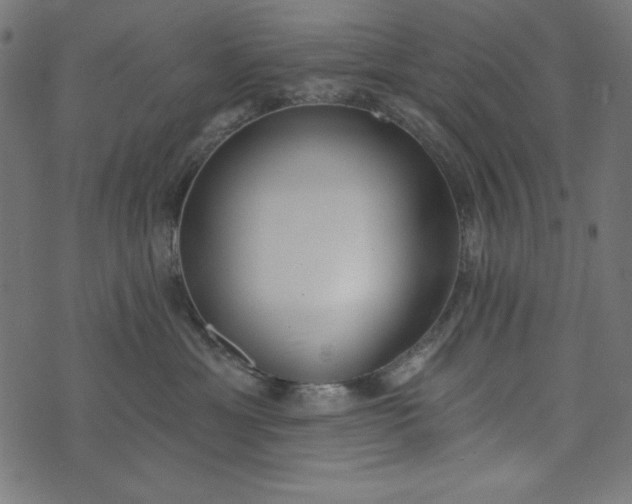 X0000073710429200608171143