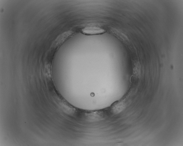 X0000073710430200608171143