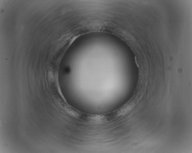 X0000073710432200608171143