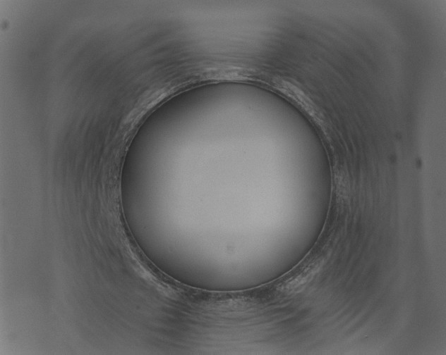 X0000073710433200608171142